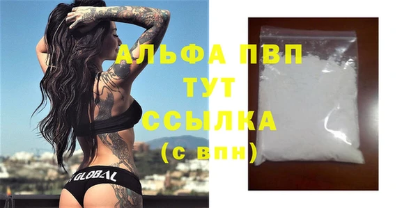 гашик Алексин