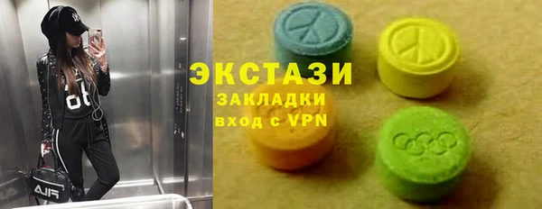 гашик Алексин