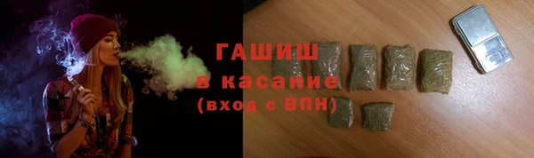 гашик Алексин