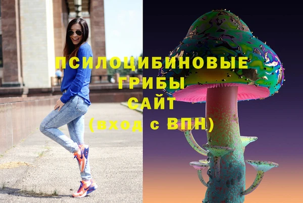 гашик Алексин