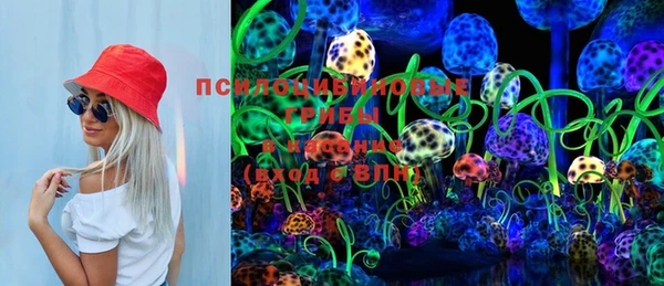 ПСИЛОЦИБИНОВЫЕ ГРИБЫ Алексеевка