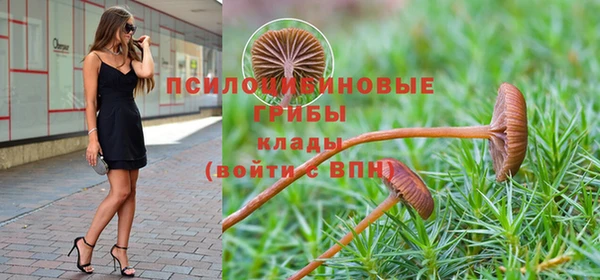 прущие крисы Алзамай