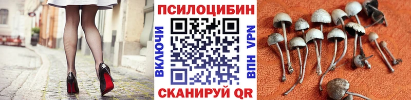 Псилоцибиновые грибы Magic Shrooms  купить наркотик  Саров 