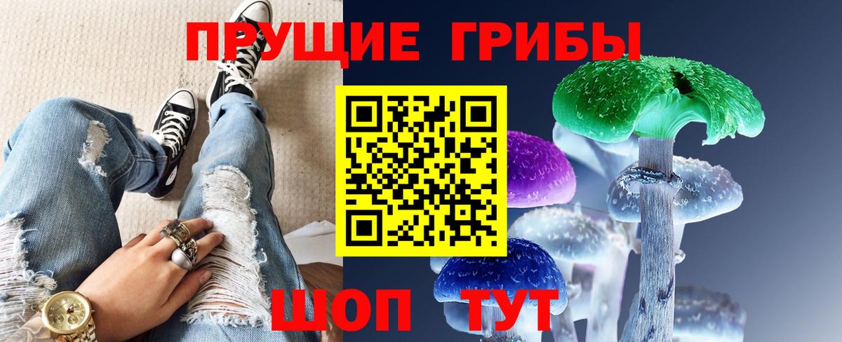 Саров  Псилоцибиновые грибы мицелий  что такое   Вход с VPN 