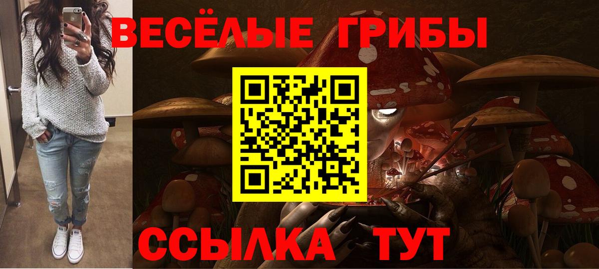 Галлюциногенные грибы прущие грибы Саров